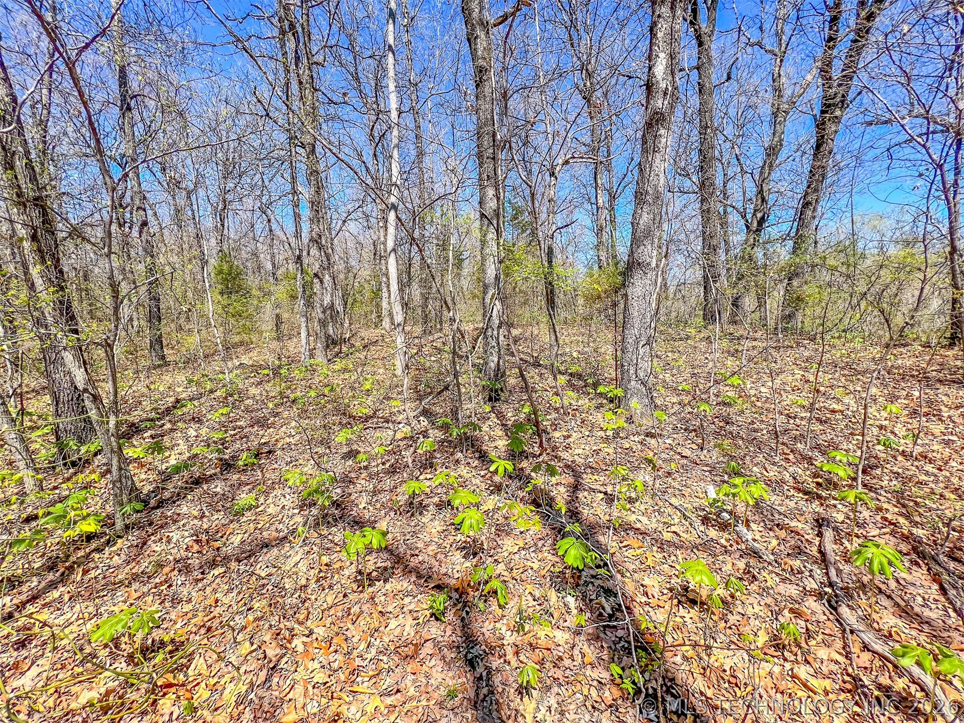 44 Ridge Circle Property Photo 17