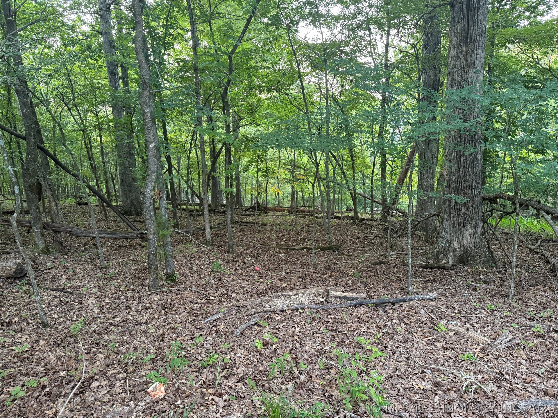 101 Flint Ridge Drive Property Photo 1