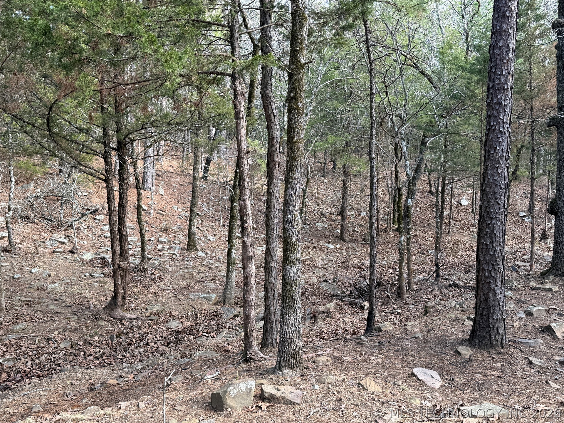 1083 Avenue Property Photo 36