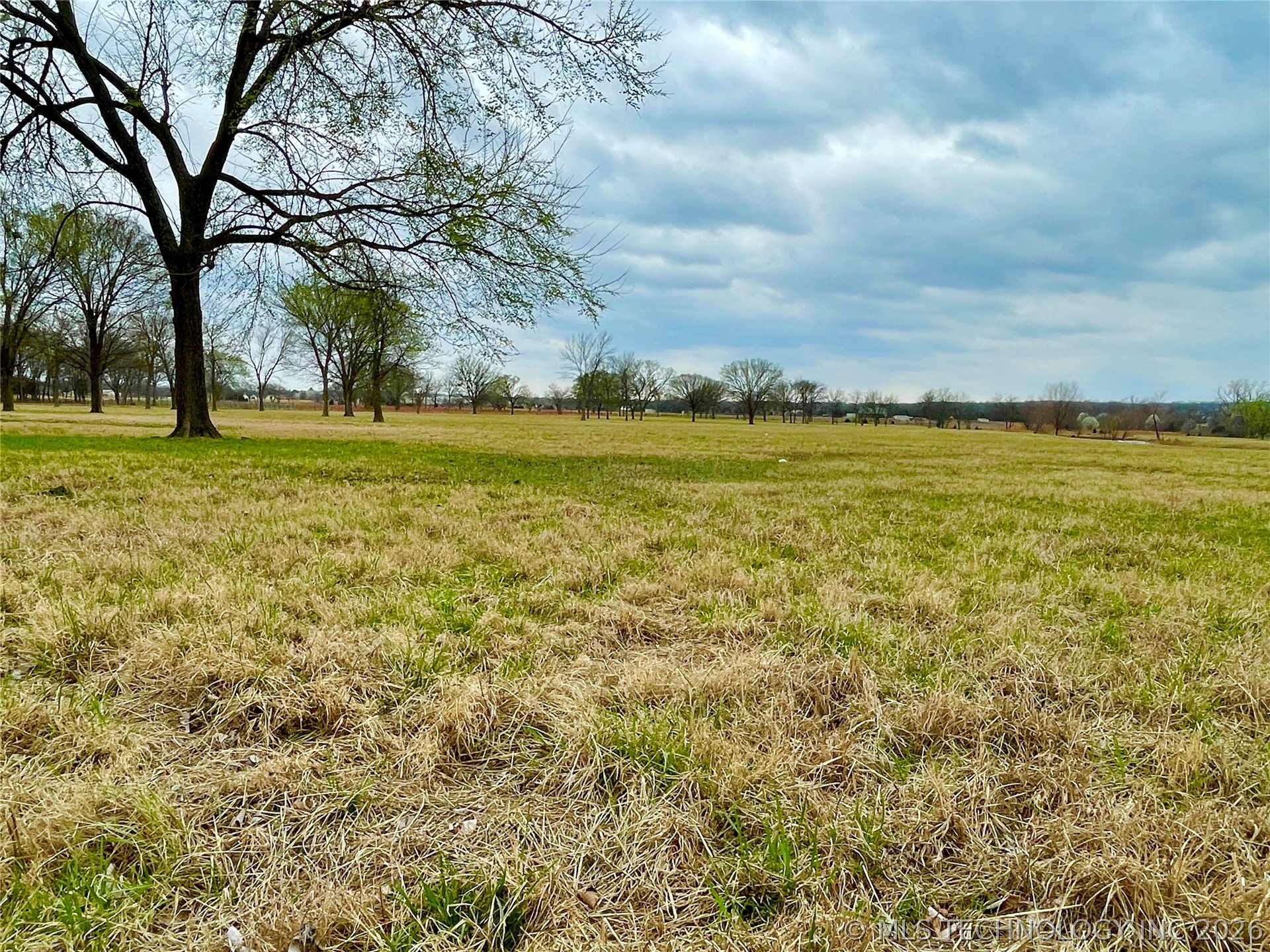 2608140 Property Photo 11