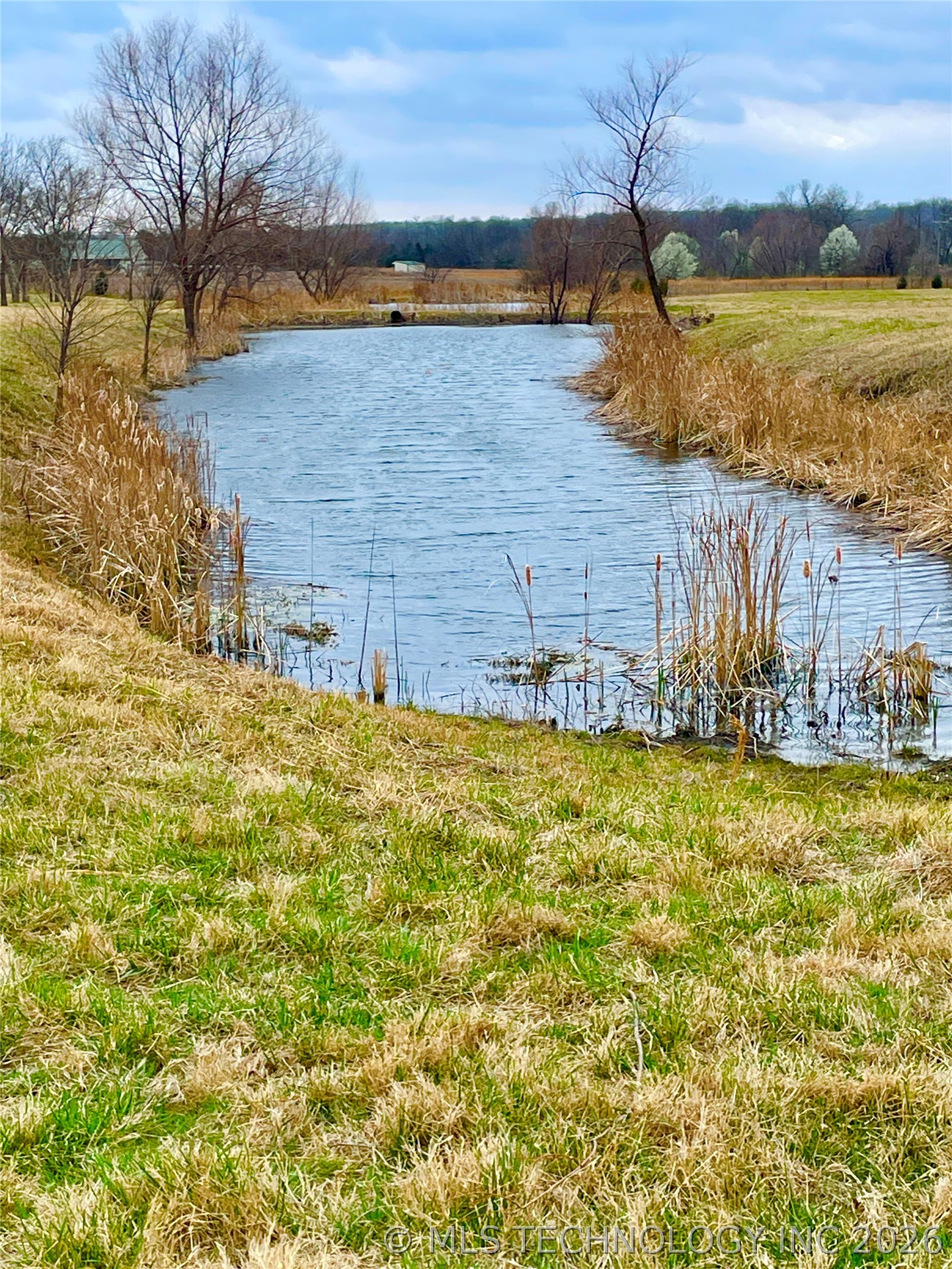 2608140 Property Photo 17