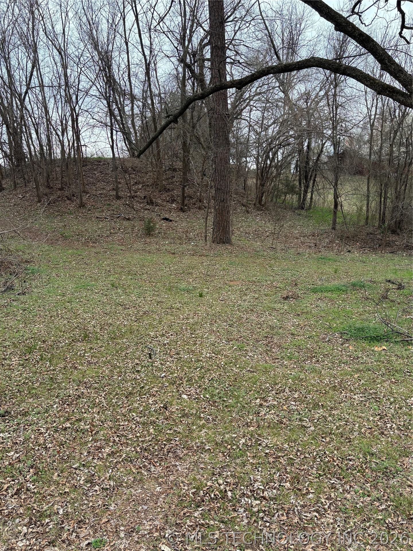 1114 N Cleveland Avenue Property Photo 9