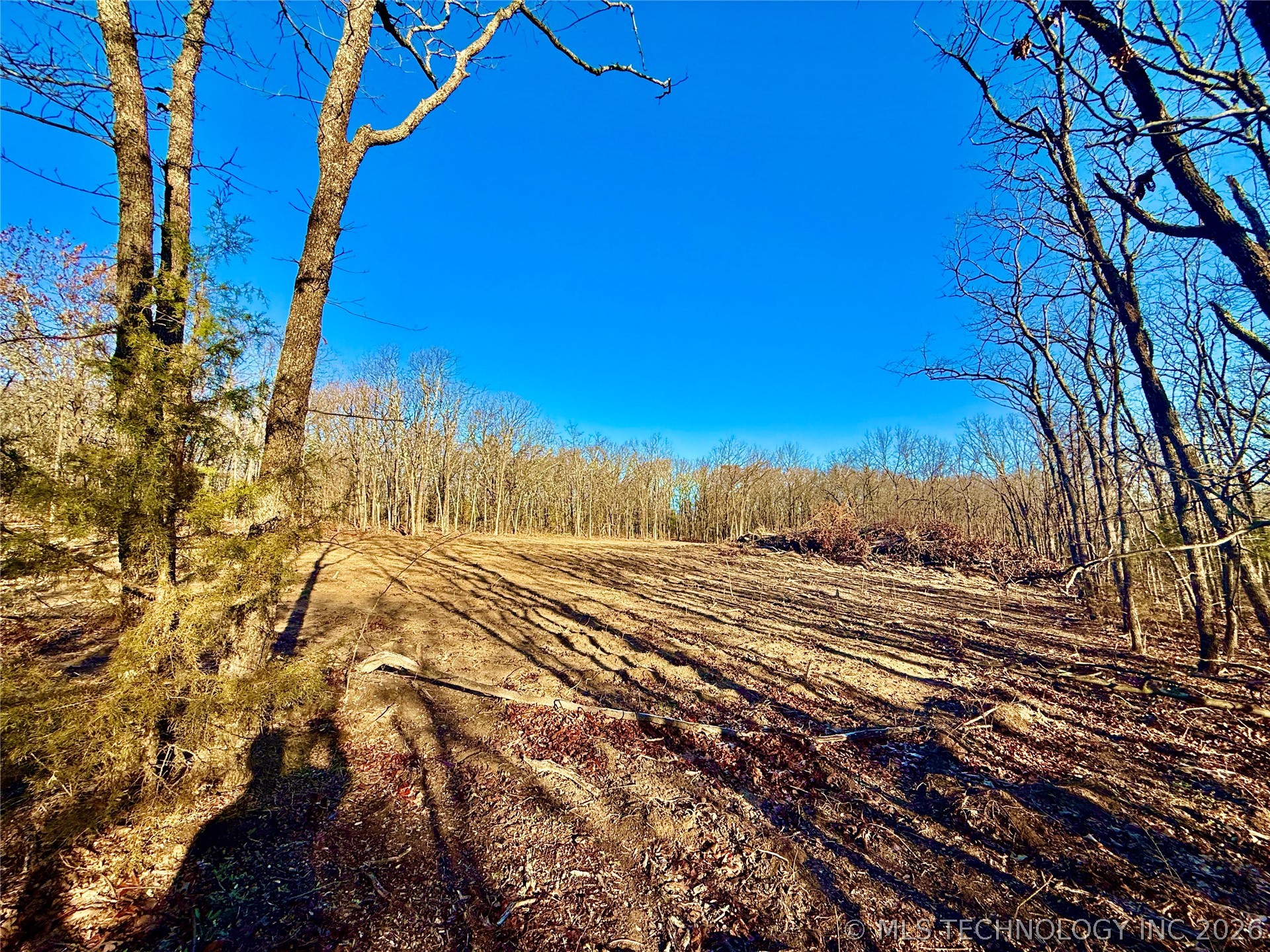 8250 Valley View Drive Property Photo 16