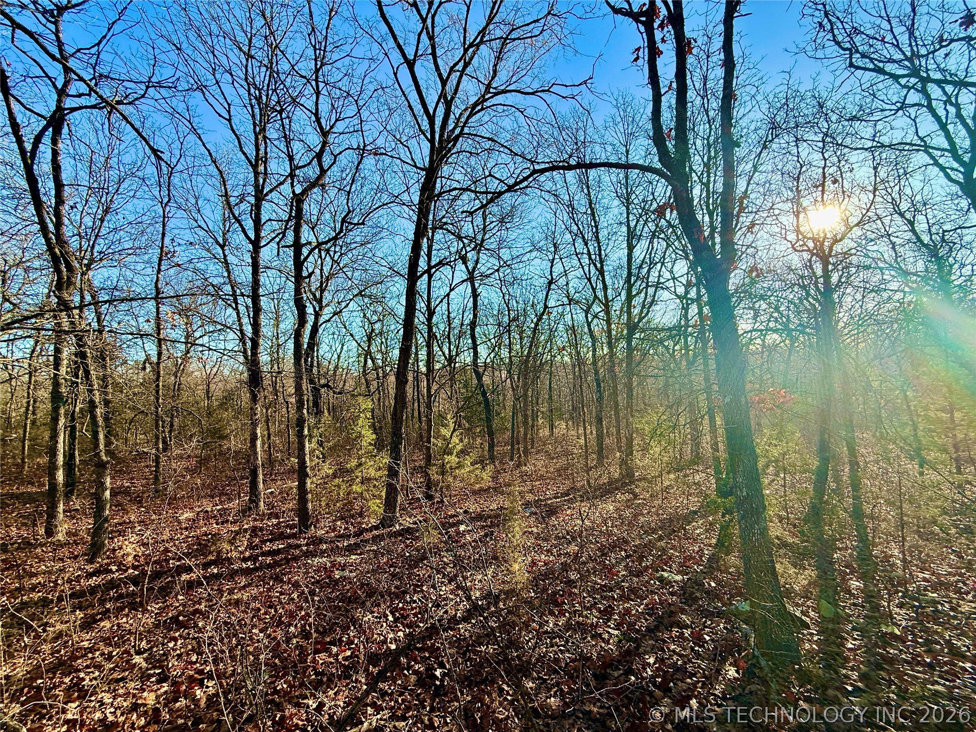 8250 Valley View Drive Property Photo 25