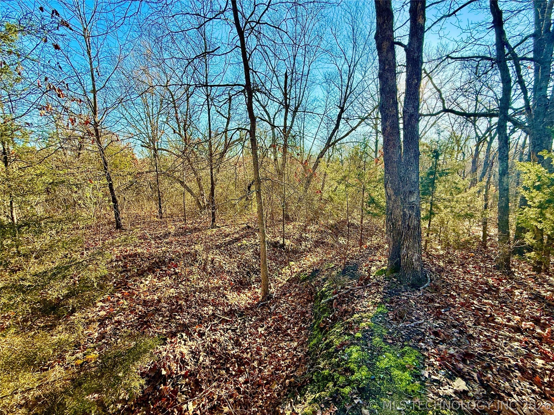 8250 Valley View Drive Property Photo 31