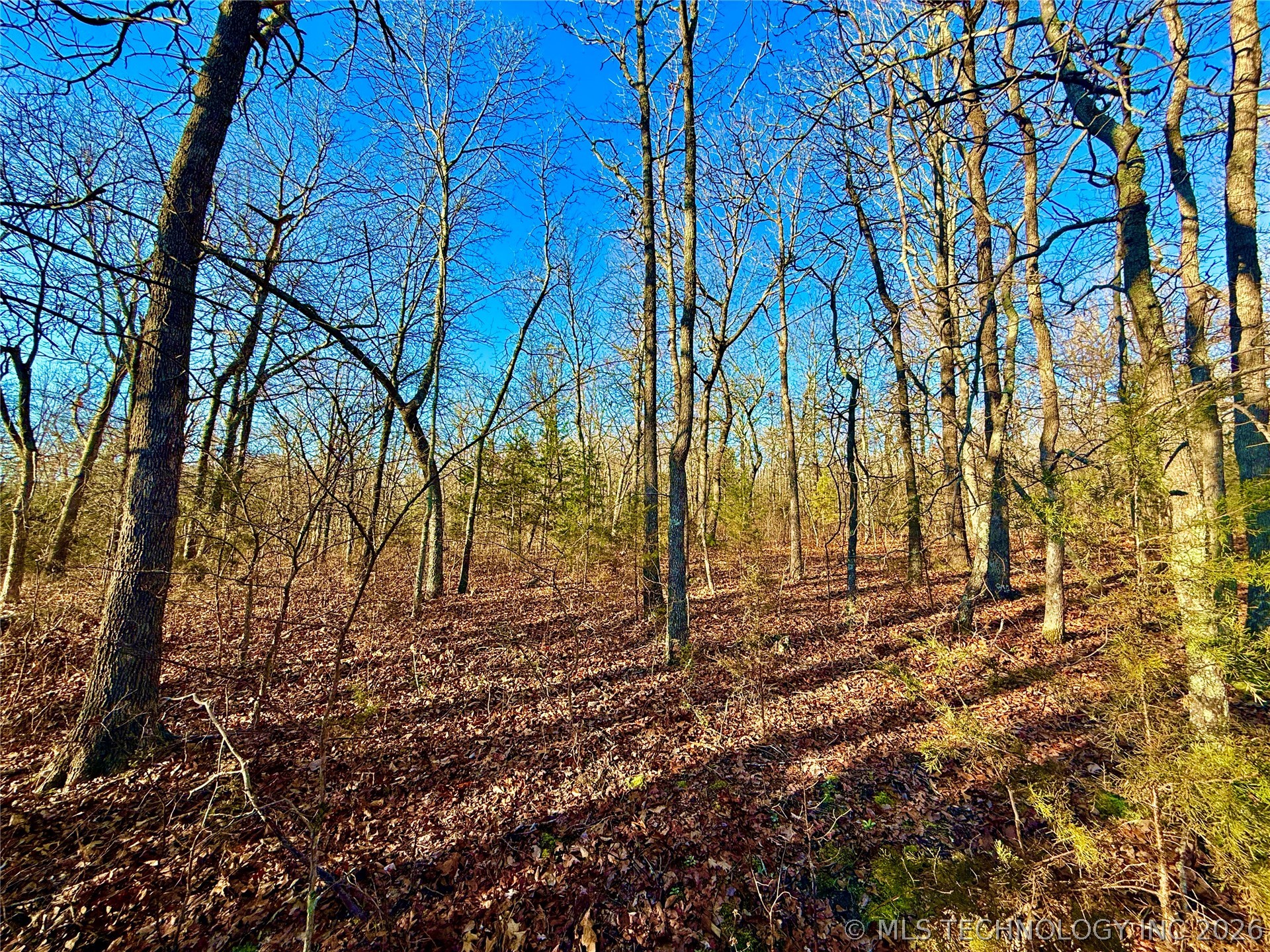 8250 Valley View Drive Property Photo 32