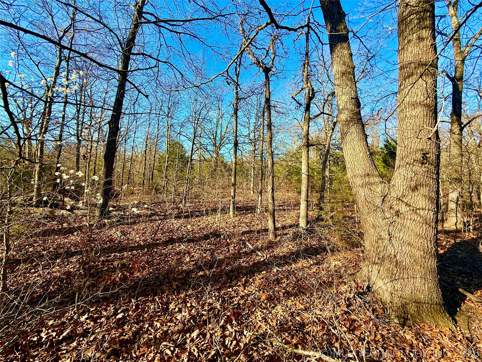 8250 Valley View Drive Property Photo 41