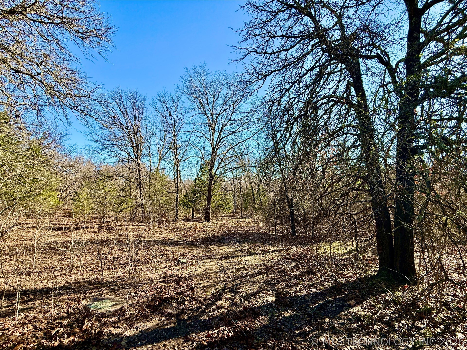 8250 Valley View Drive Property Photo 45