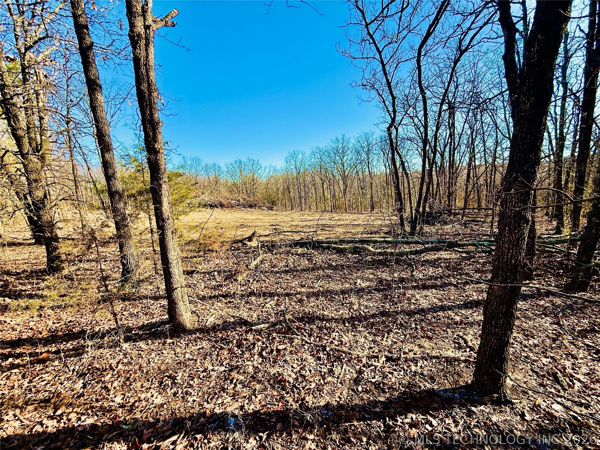 8250 Valley View Drive Property Photo 57