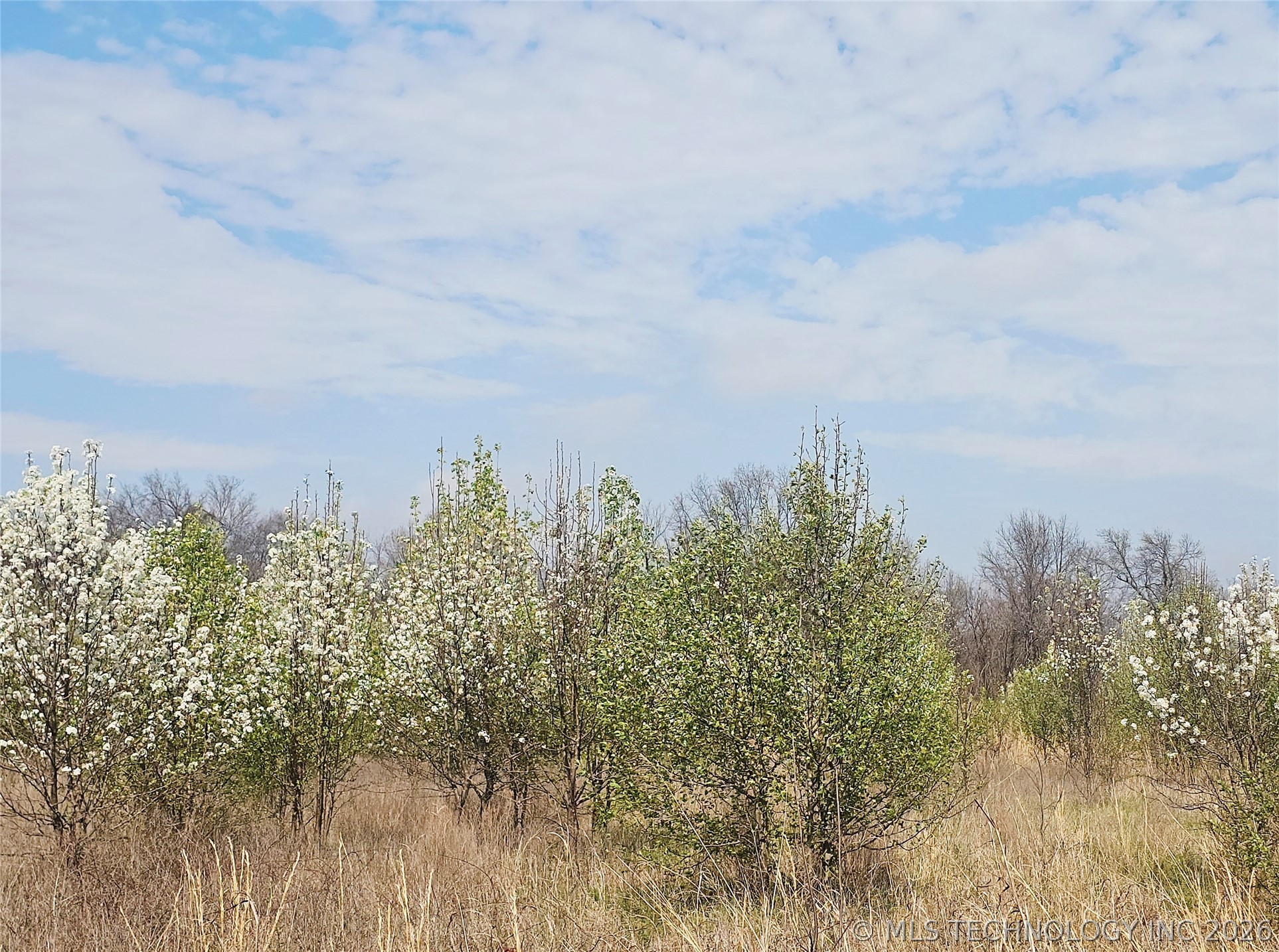 4 E 500 Road Property Photo 4