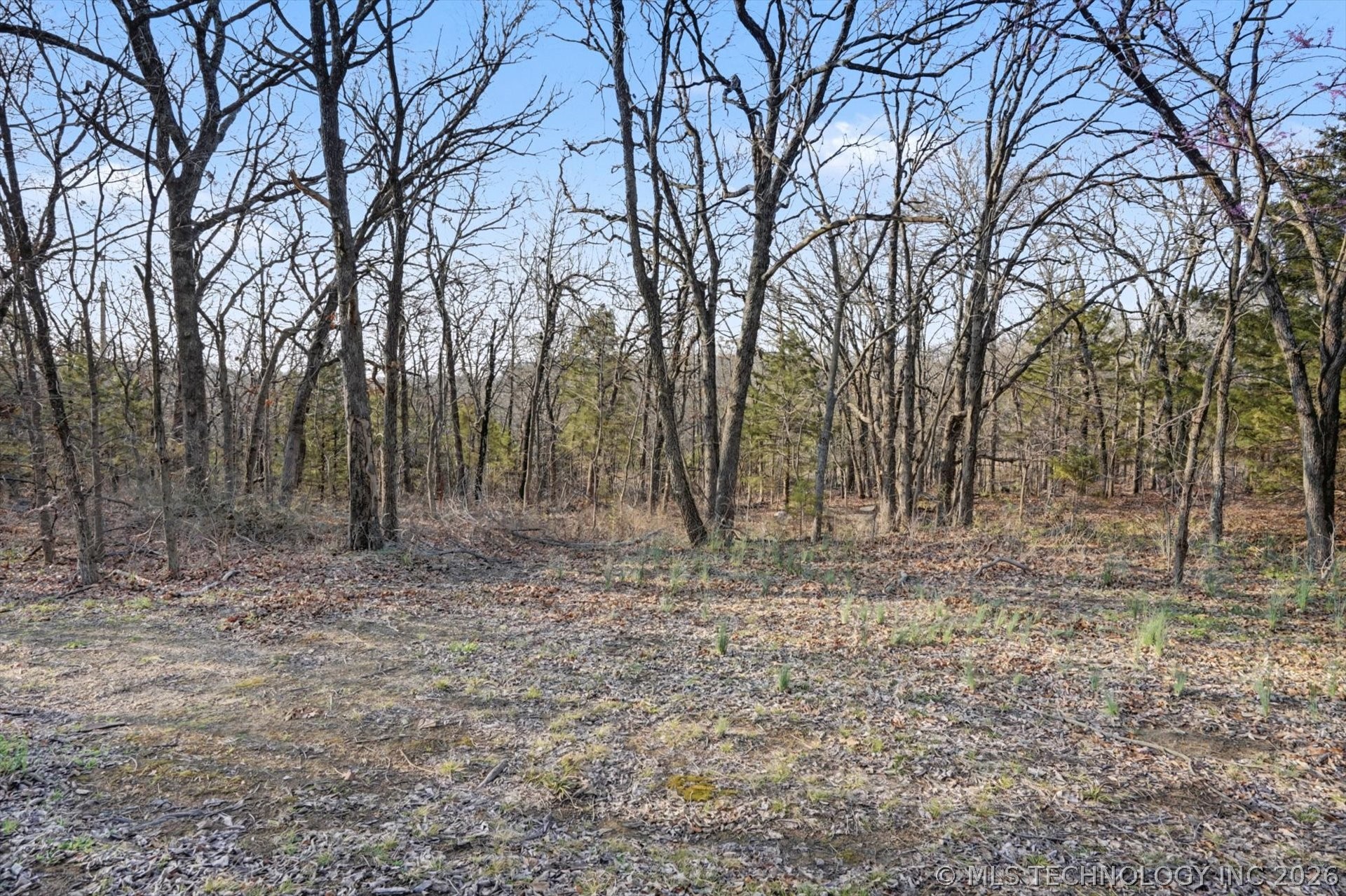 13736 W Teel Road Property Photo 38