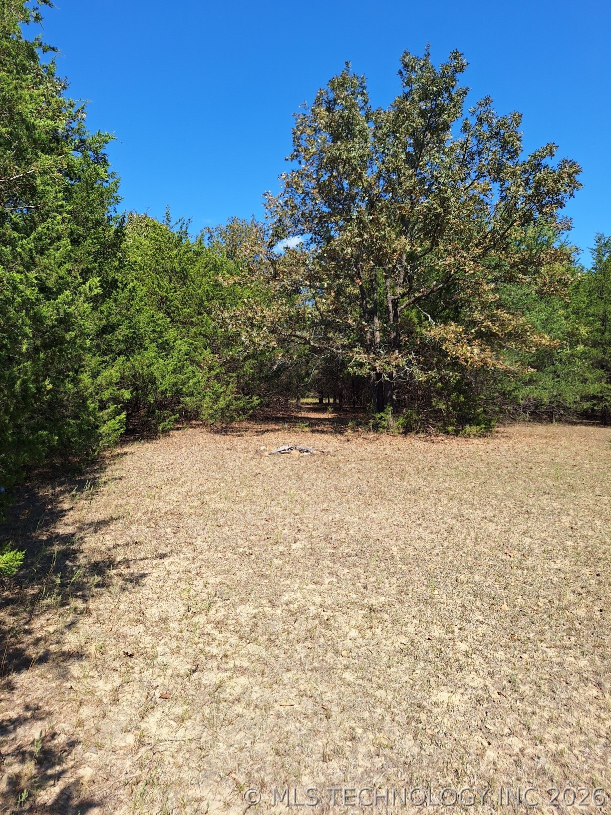 00 County Road 3665 Property Photo 3