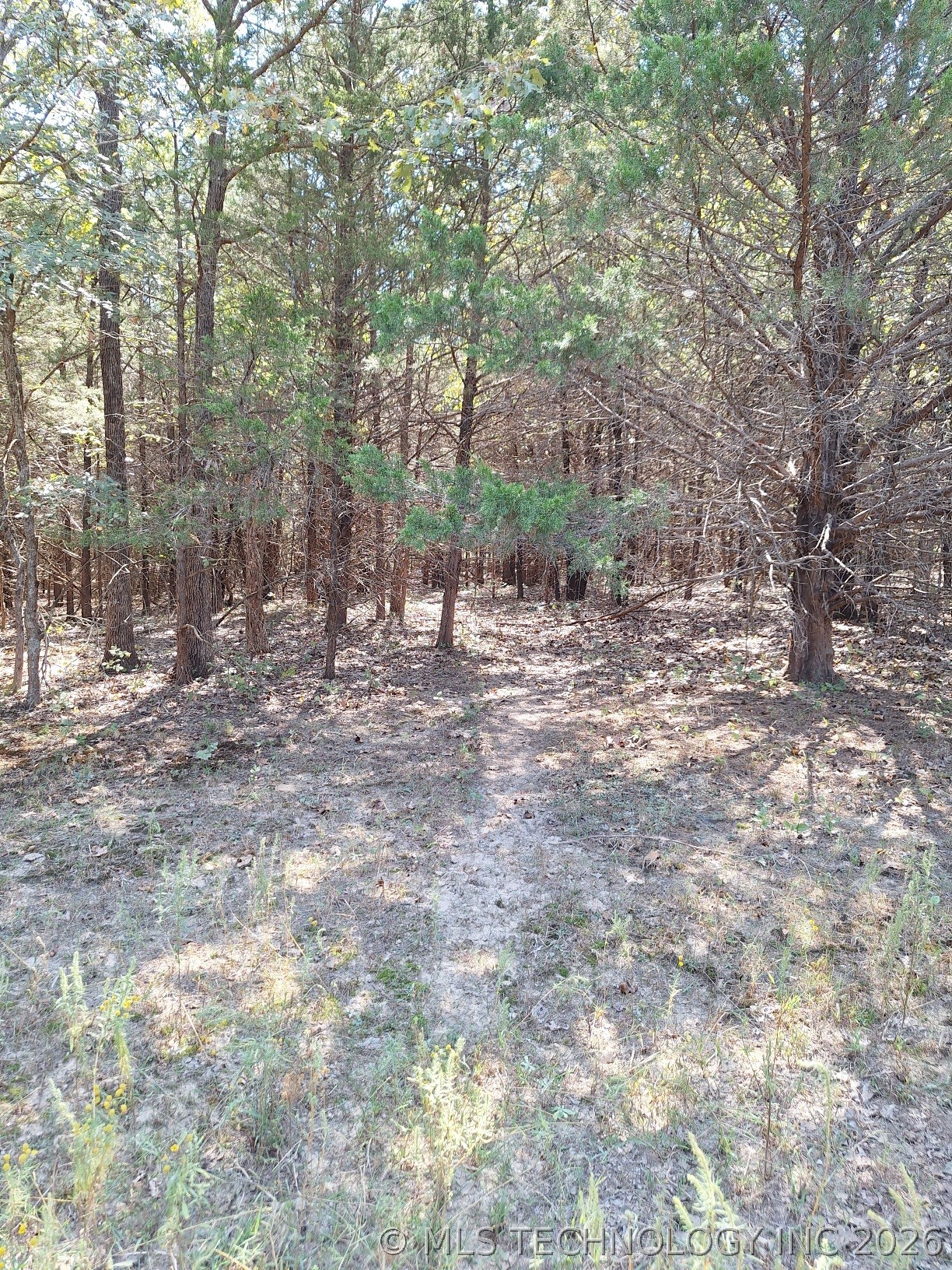 00 County Road 3665 Property Photo 4