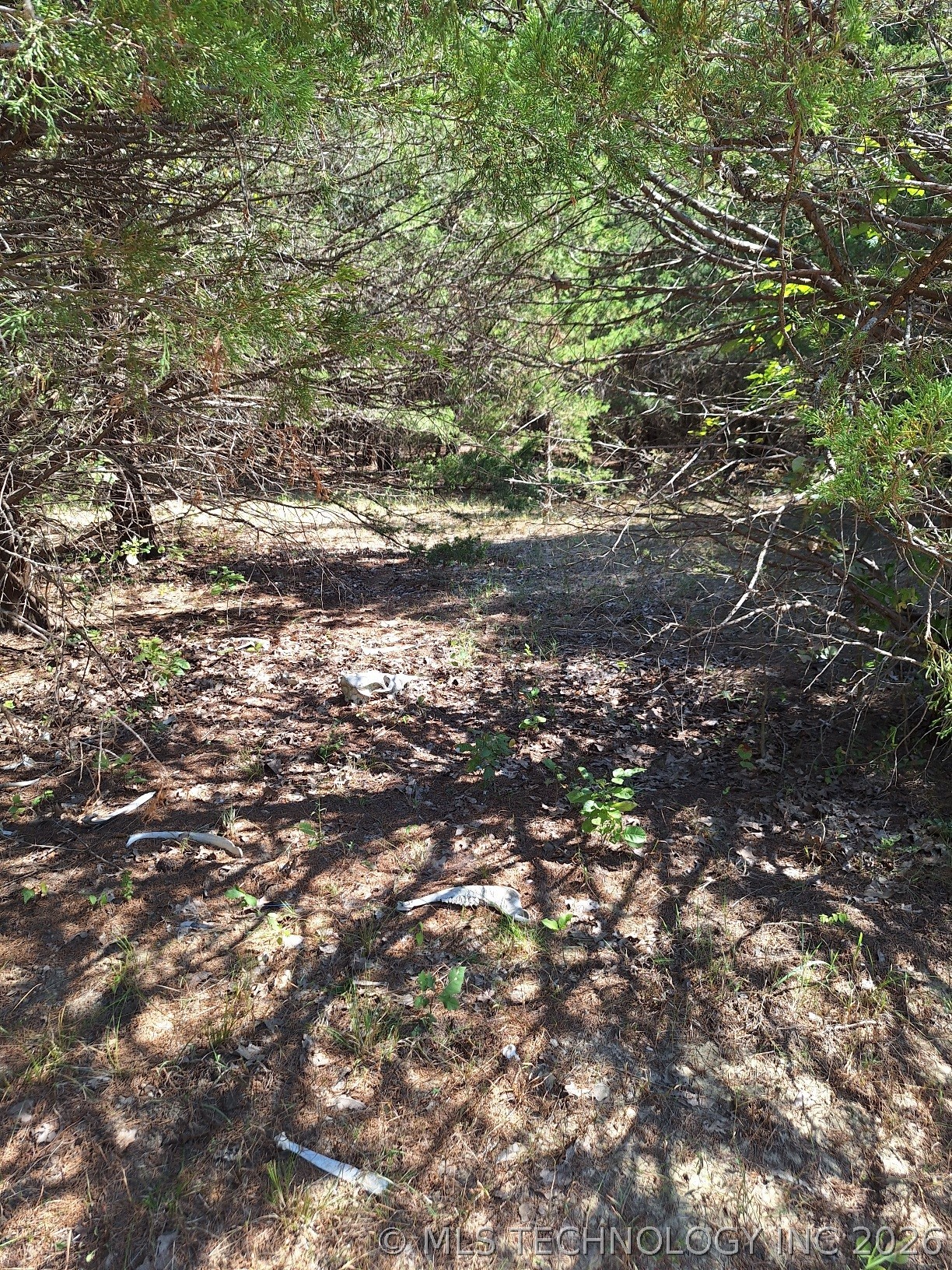 00 County Road 3665 Property Photo 5