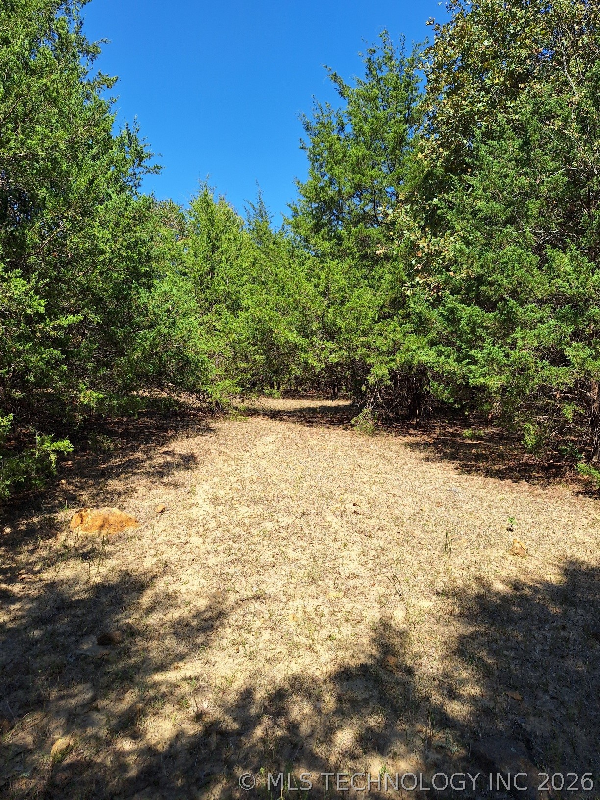 00 County Road 3665 Property Photo 6