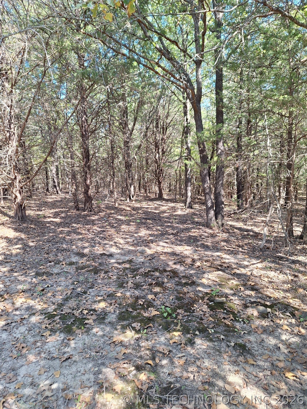 00 County Road 3665 Property Photo 7