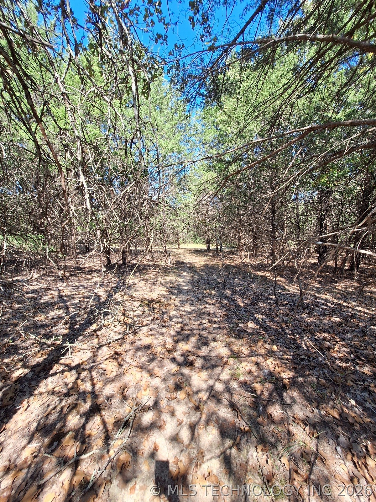 00 County Road 3665 Property Photo 8