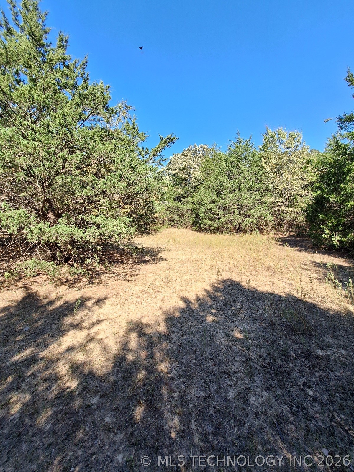 00 County Road 3665 Property Photo 9