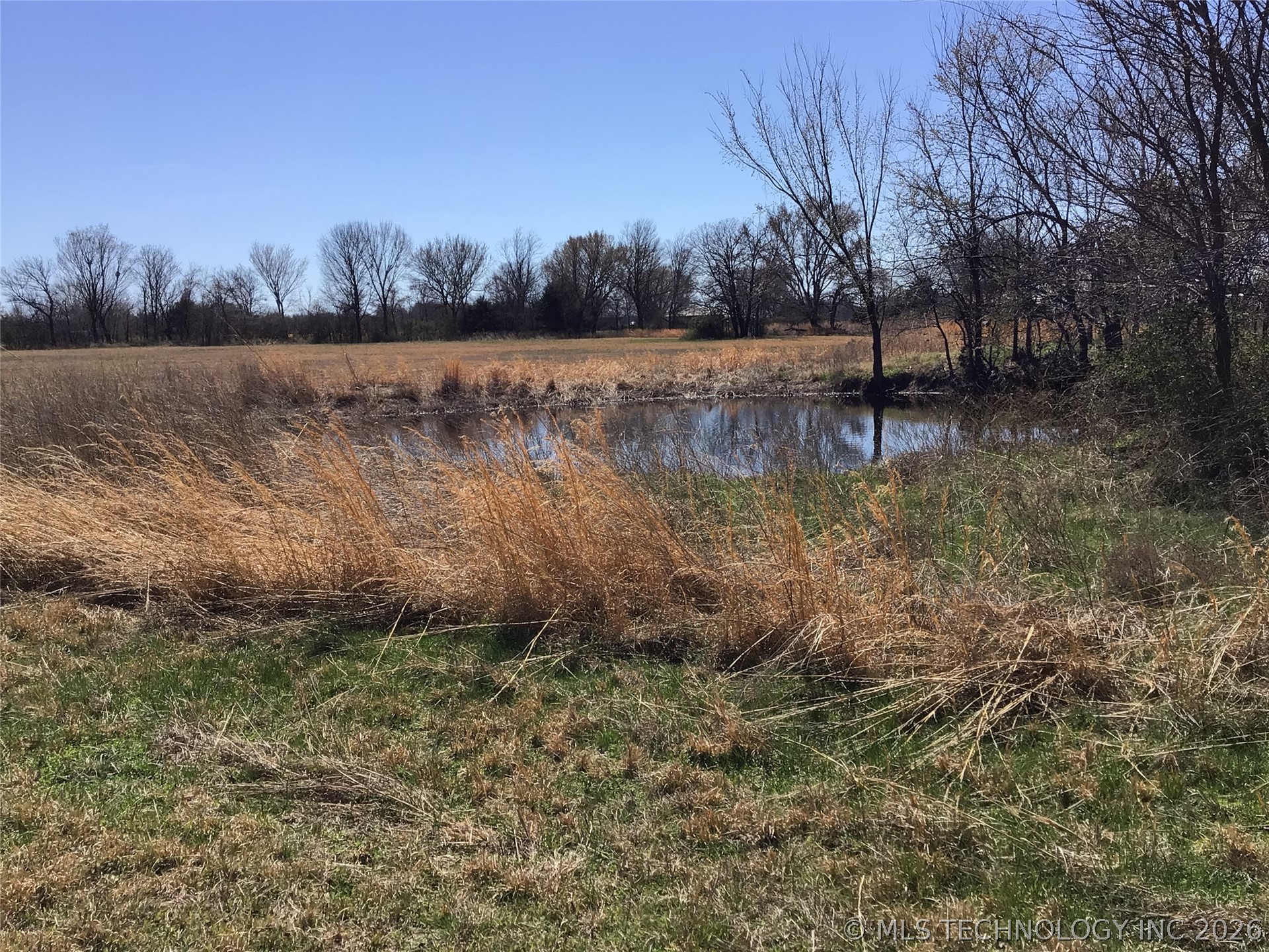 15055 E 412 Highway Property Photo 15