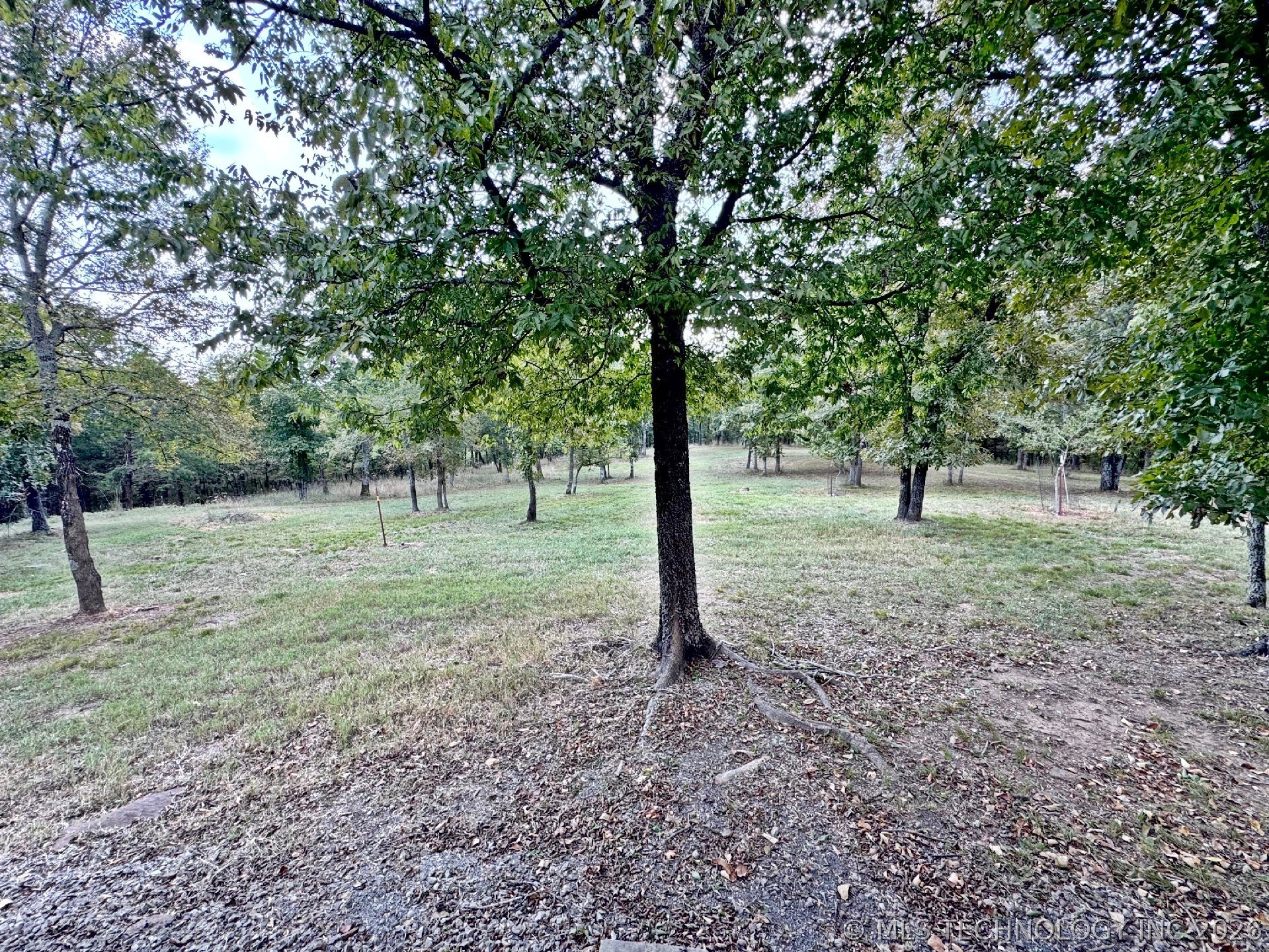 20005 Hwy 80 Property Photo 73