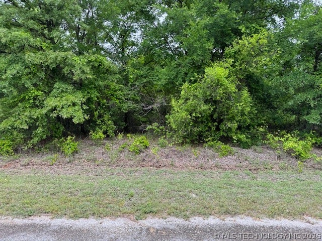 Diamondhead Property Photo 1