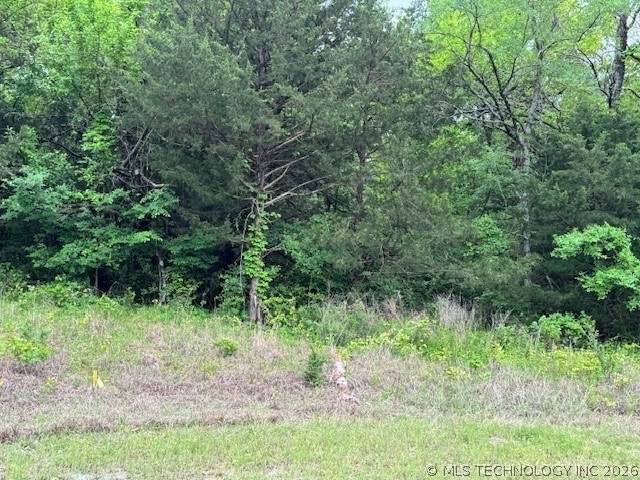 Diamondhead Property Photo 2