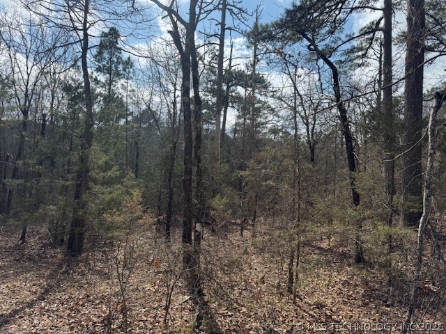 Turkey Creek Road Property Photo 1