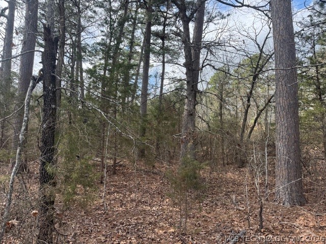 Turkey Creek Road Property Photo 2