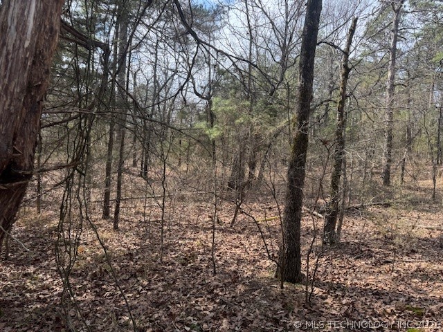 Turkey Creek Road Property Photo 3
