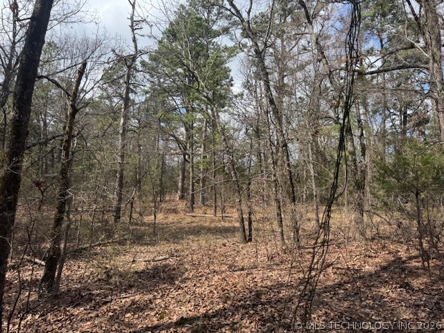 Turkey Creek Road Property Photo 4