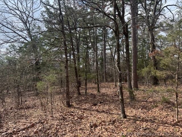 Turkey Creek Road Property Photo 5