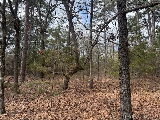 Turkey Creek Road Property Photo 6