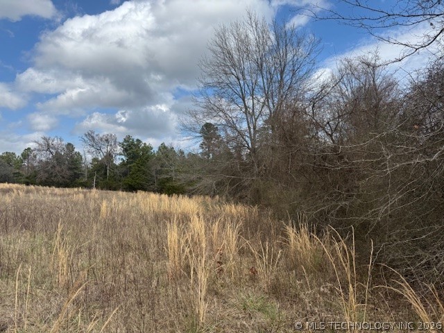 Turkey Creek Road Property Photo 10