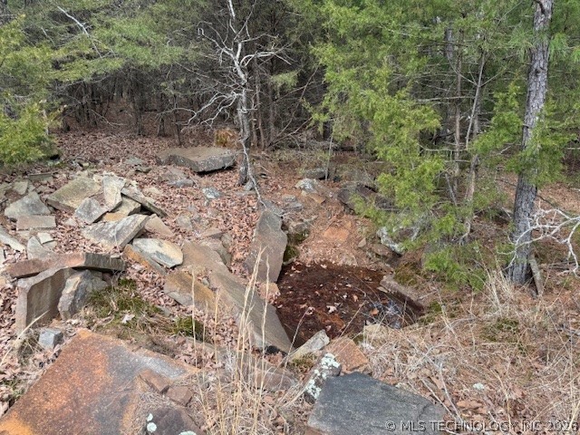 Turkey Creek Road Property Photo 11