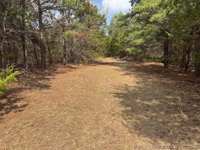 Turkey Creek Road Property Photo 12