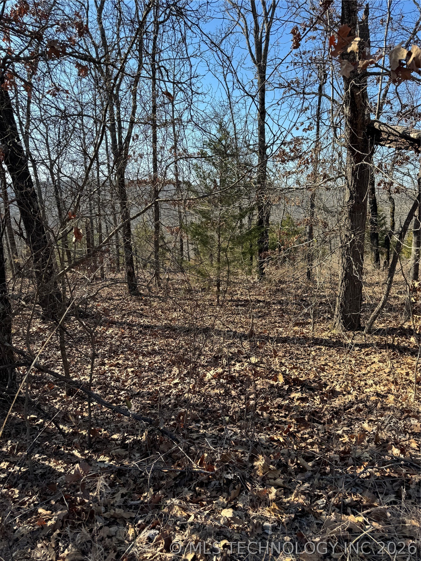 001 S 4556 Road Property Photo 2