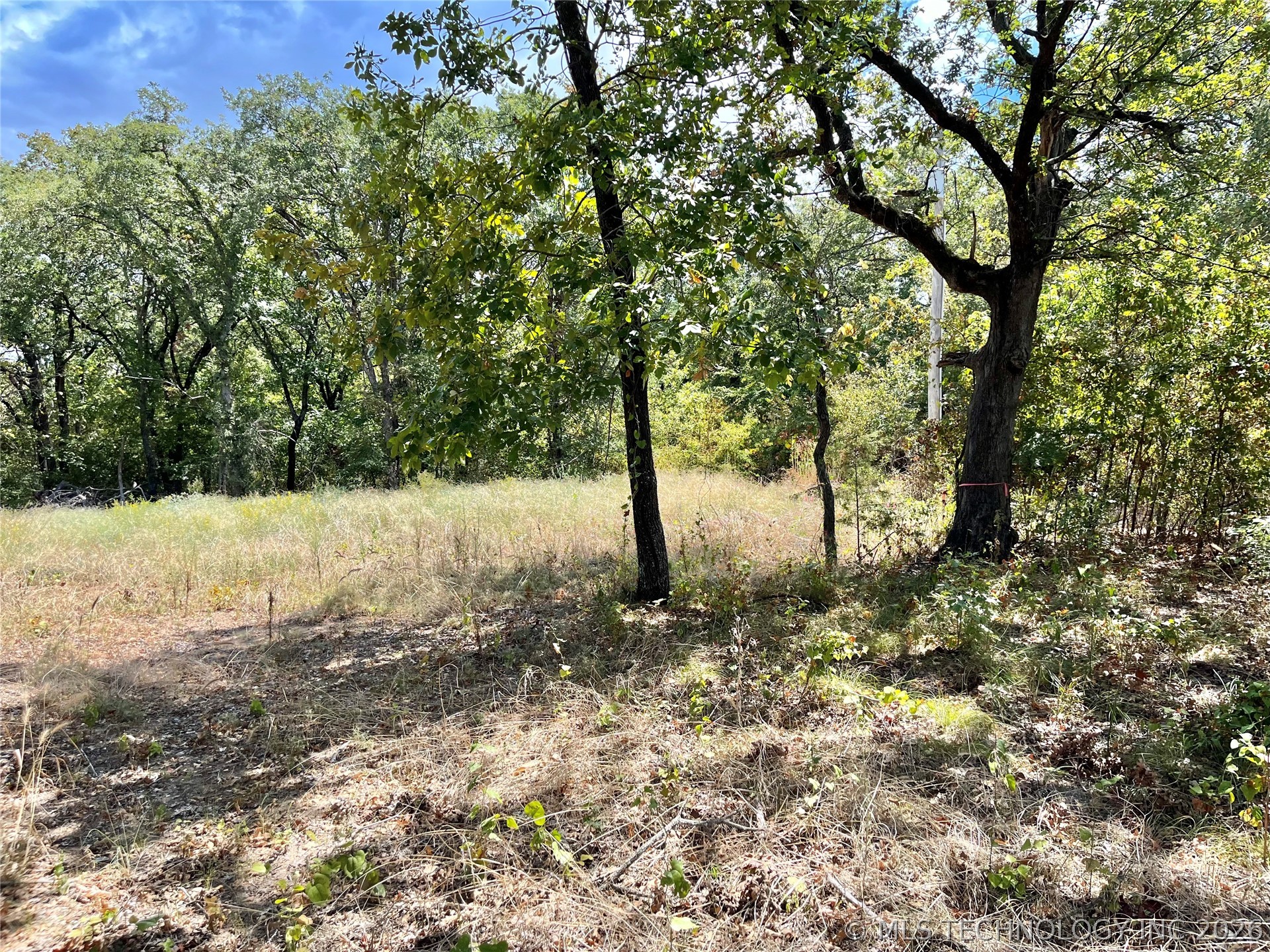 Texoma Park Road Property Photo 4