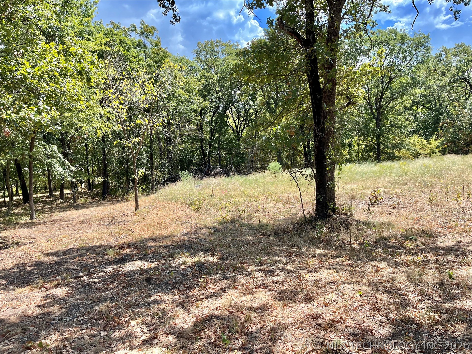 Texoma Park Road Property Photo 7