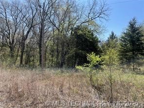 County Road 1551