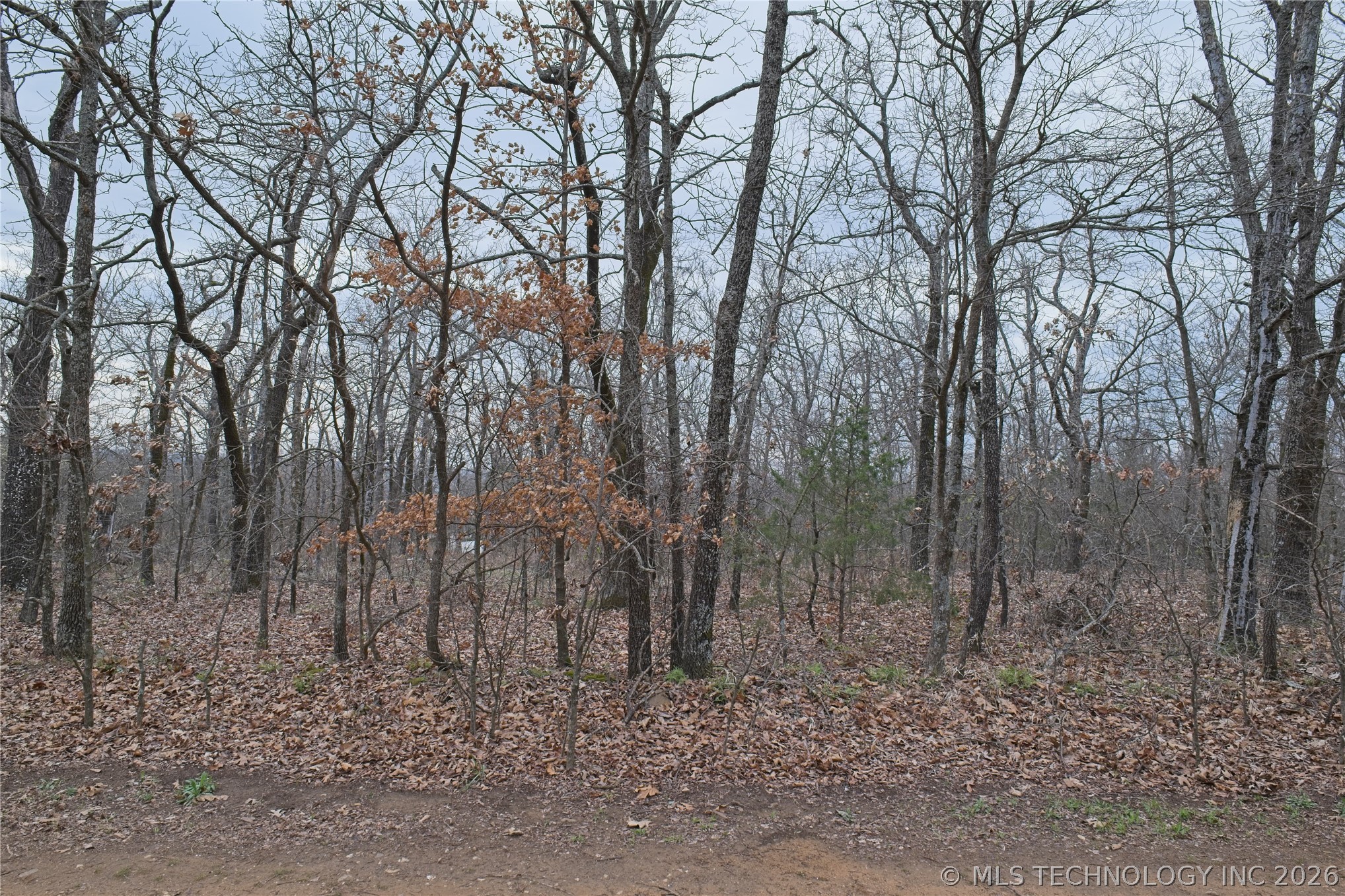 S 4547 Drive Property Photo 1