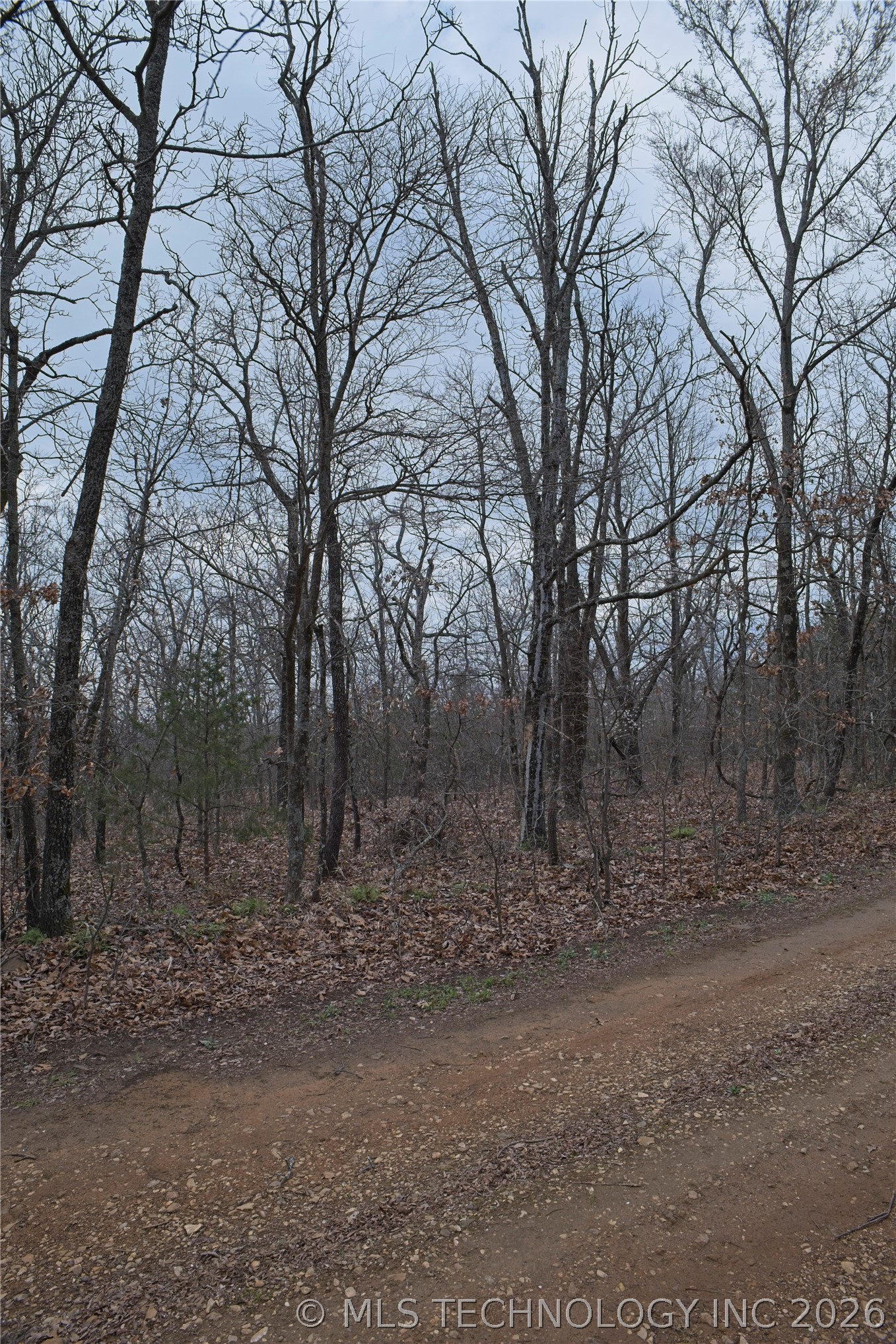 S 4547 Drive Property Photo 3