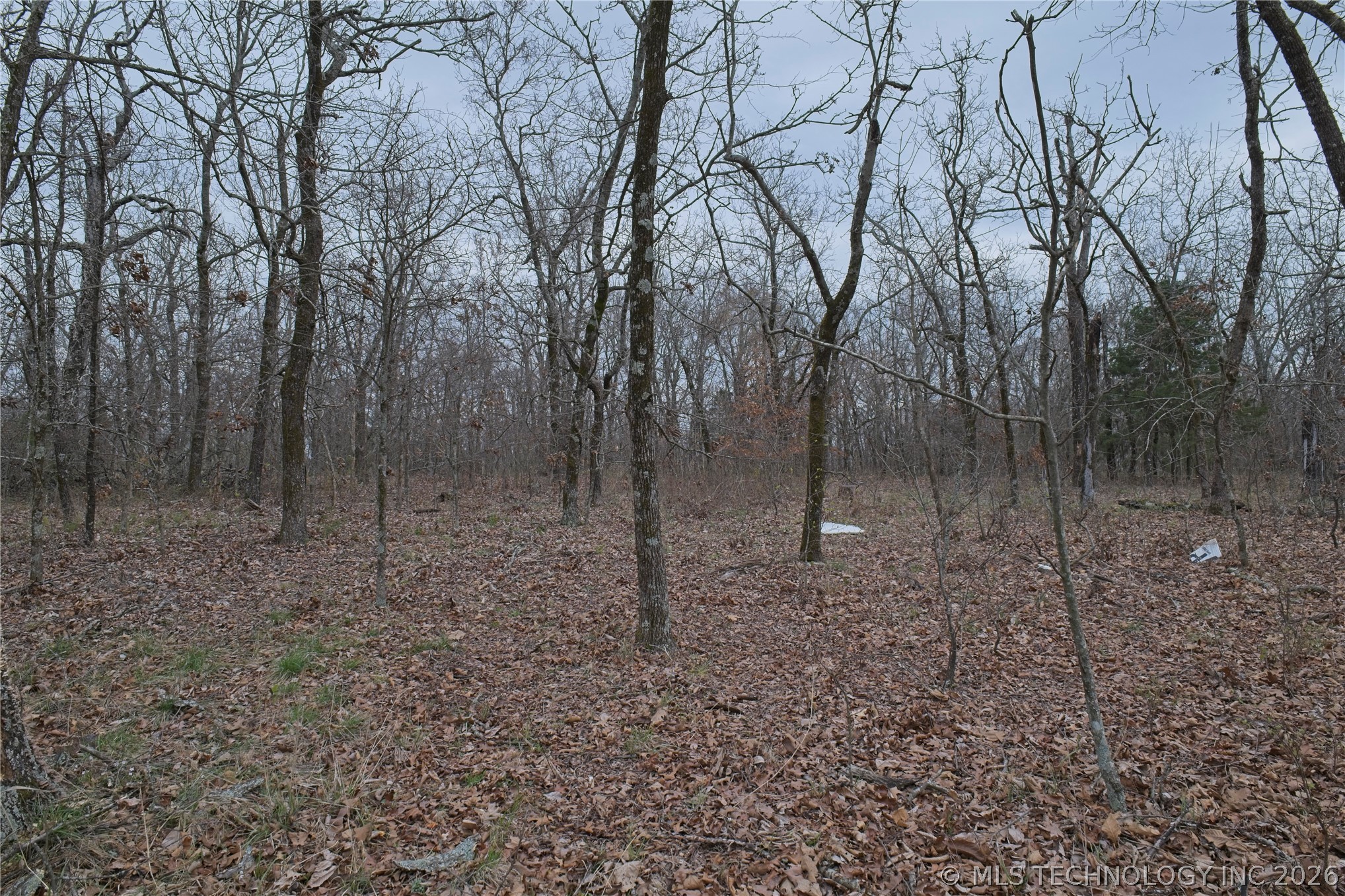 S 4547 Drive Property Photo 5