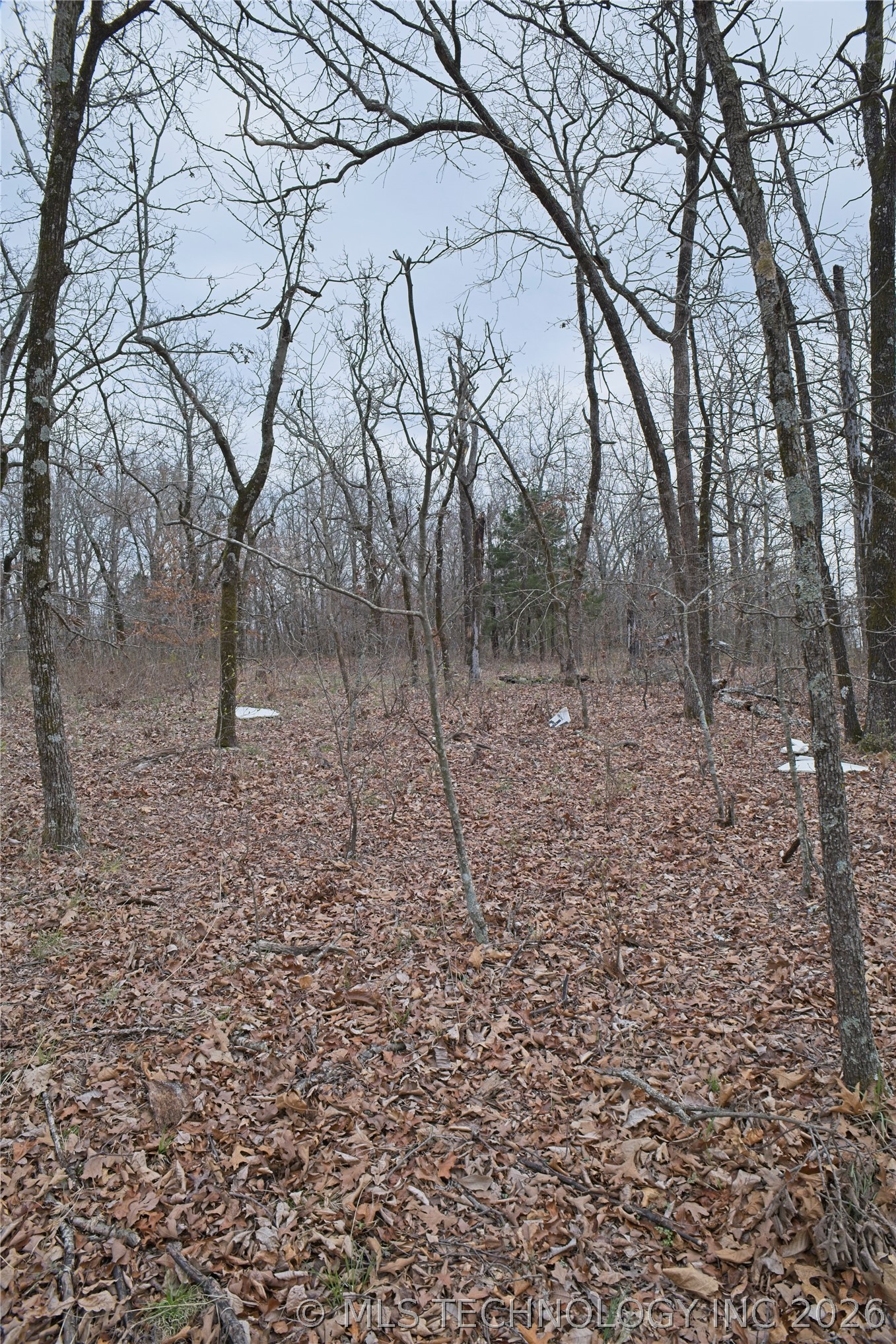 S 4547 Drive Property Photo 6