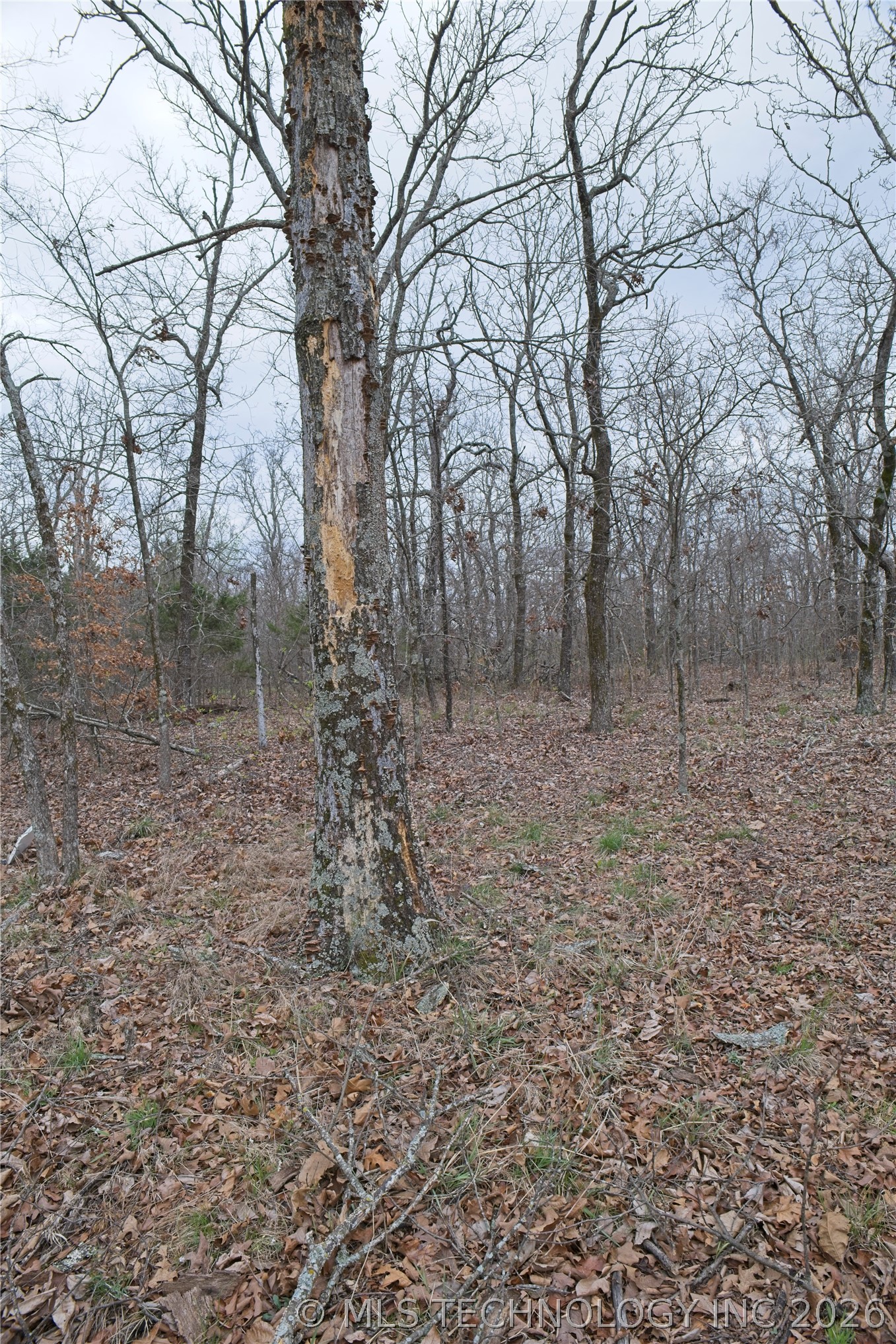S 4547 Drive Property Photo 8