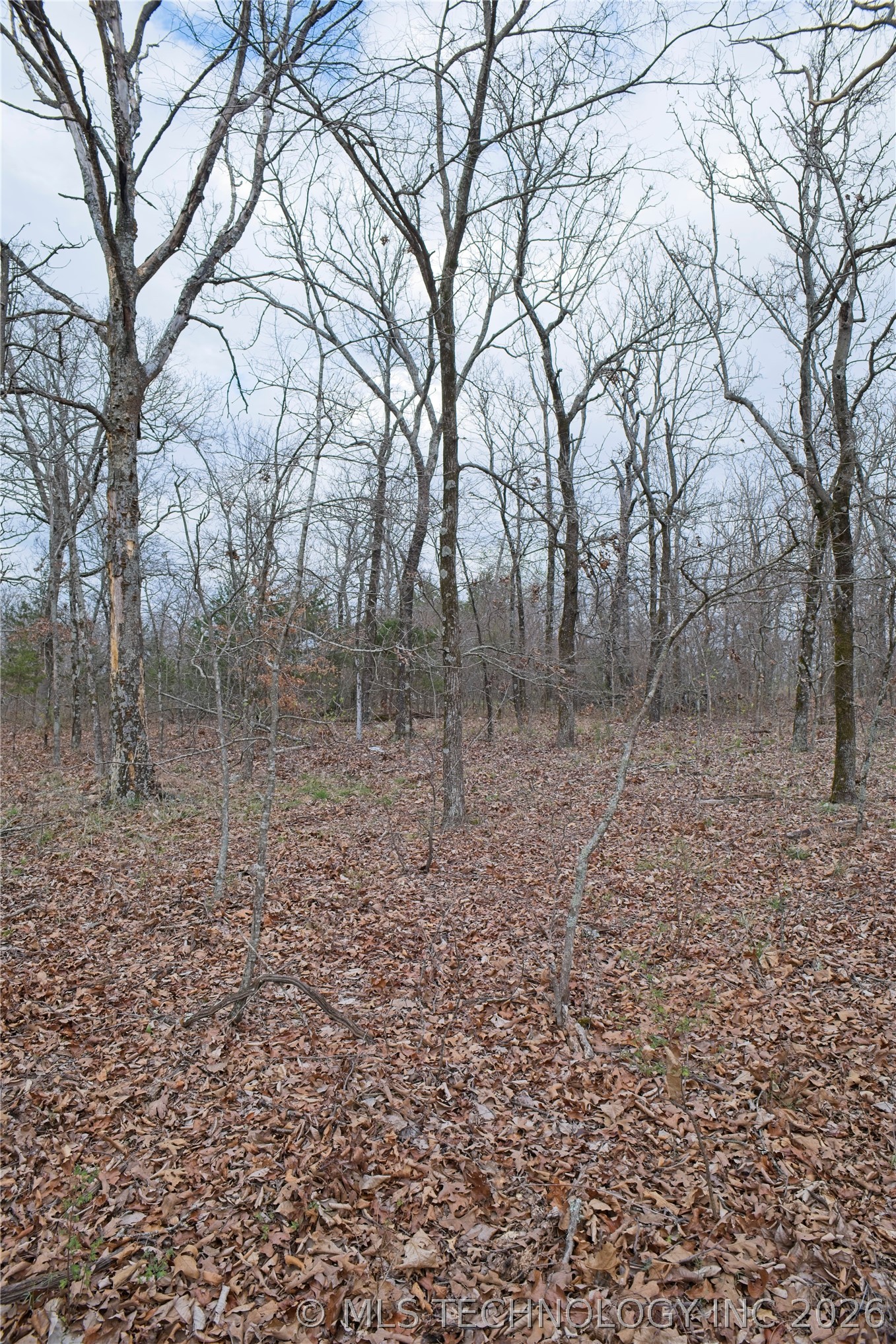 S 4547 Drive Property Photo 9