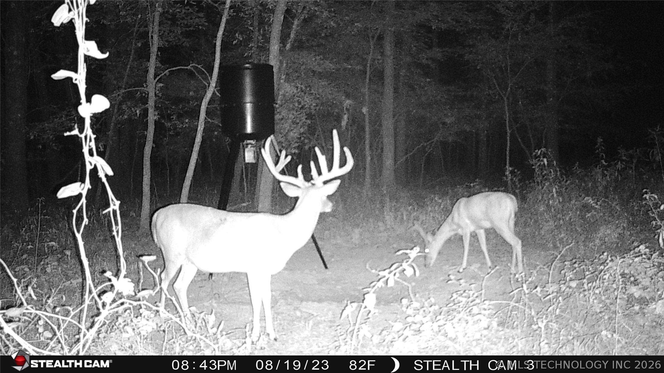 Cooper Bend Property Photo 3