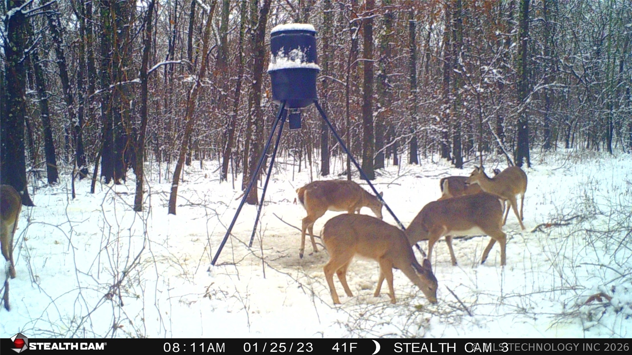 Cooper Bend Property Photo 5