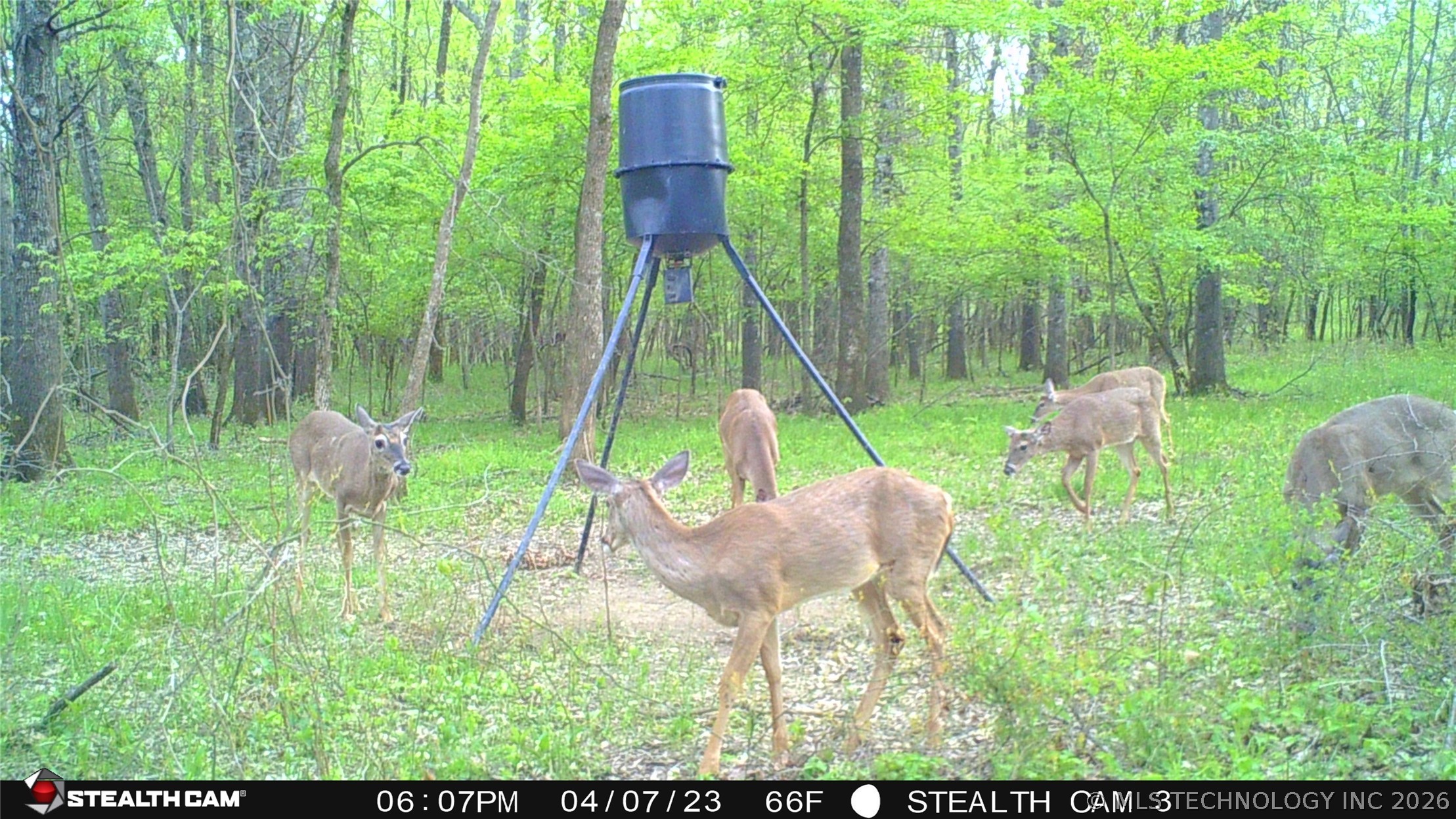 Cooper Bend Property Photo 6