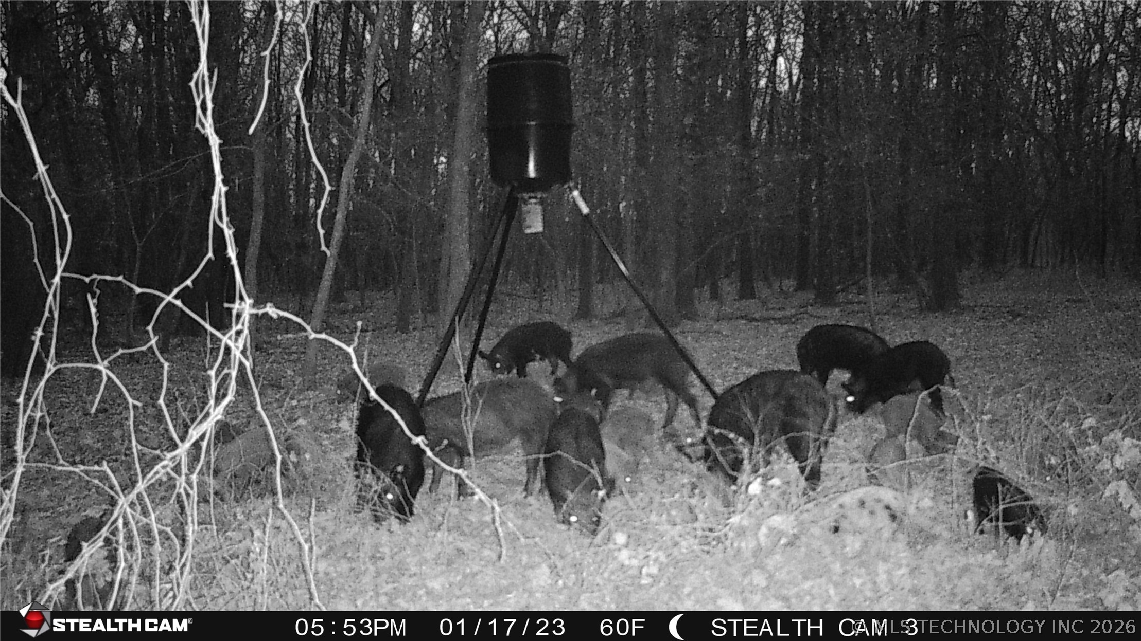 Cooper Bend Property Photo 7