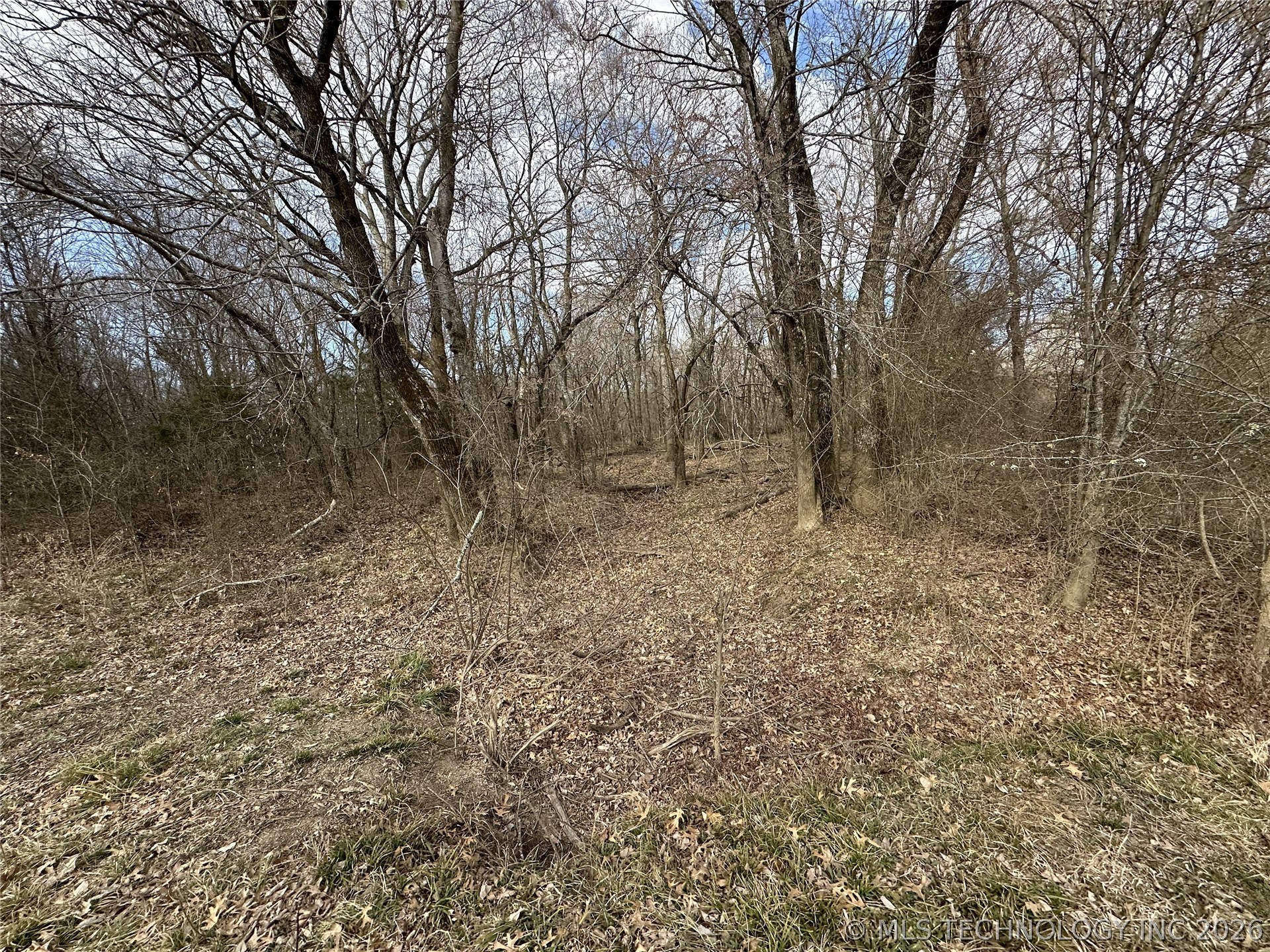 Cooper Bend Property Photo 35